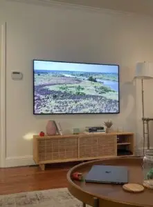 Samsung Frame TV Mounting in Spring